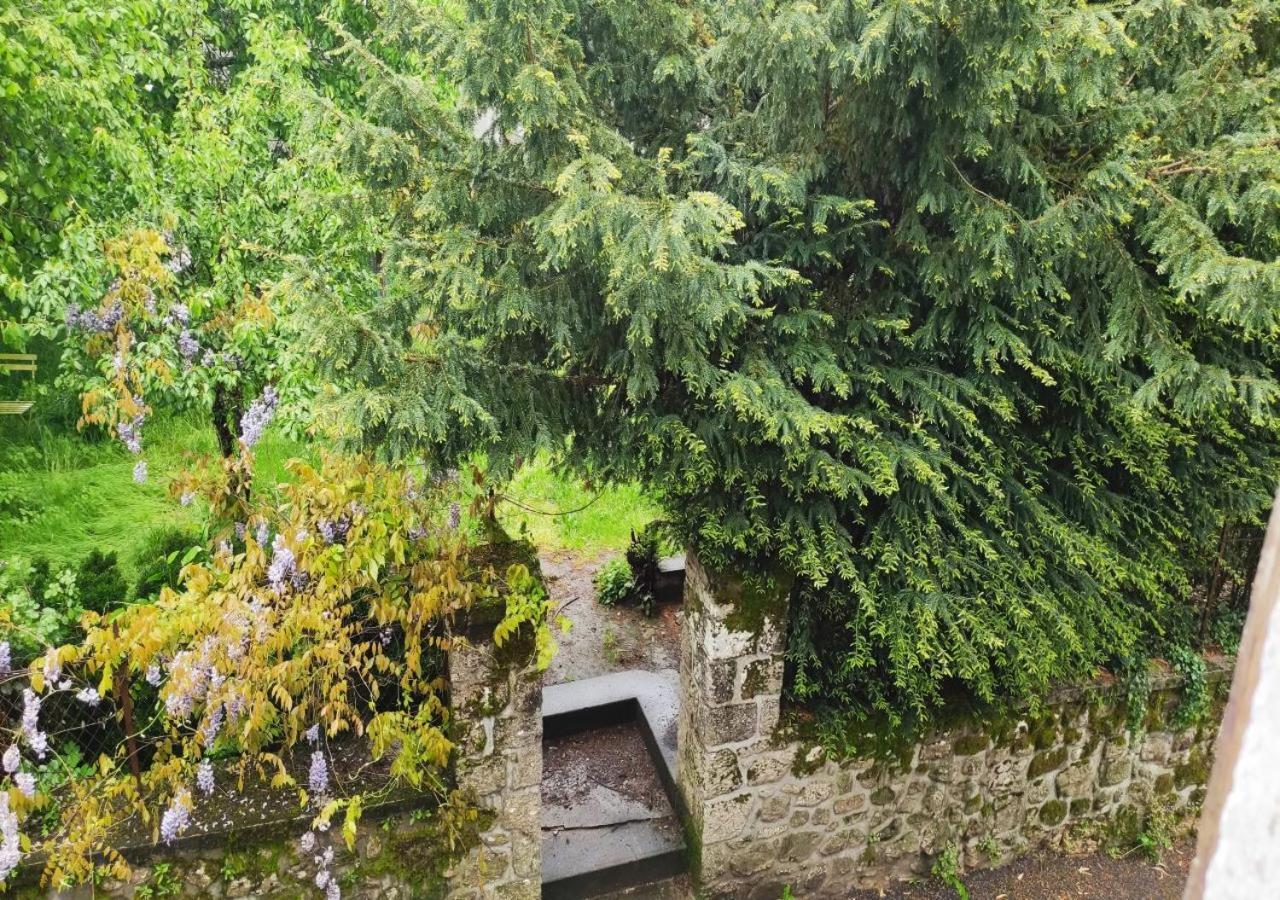 Cap Nature - T4 Et T3 En Perigord Vert - Ideal Pros Et Groupes Max 18P Champniers-et-Reilhac Экстерьер фото